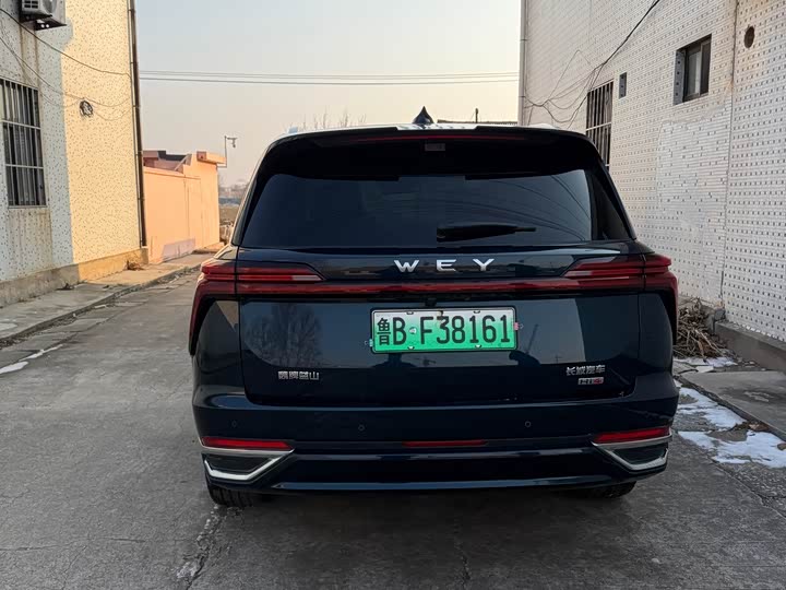 Фото 7 - Wey Lanshan