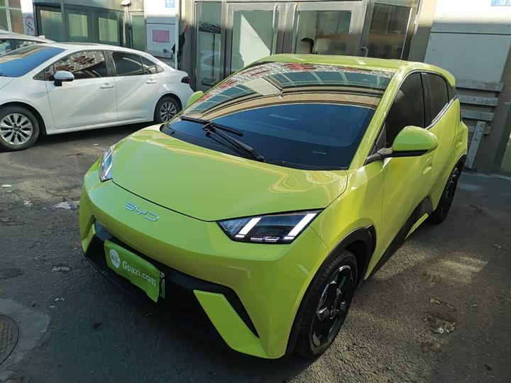 Фото 1 - BYD Seagull