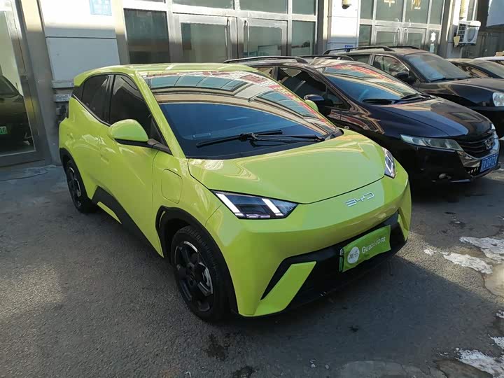 Фото 4 - BYD Seagull