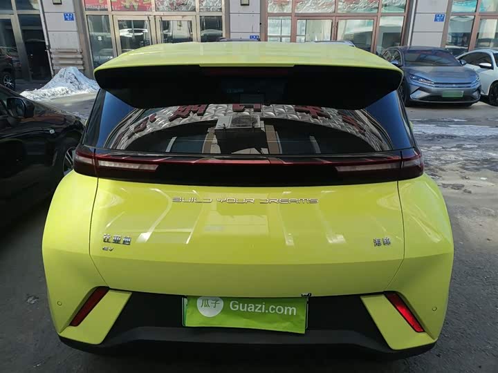 Фото 6 - BYD Seagull