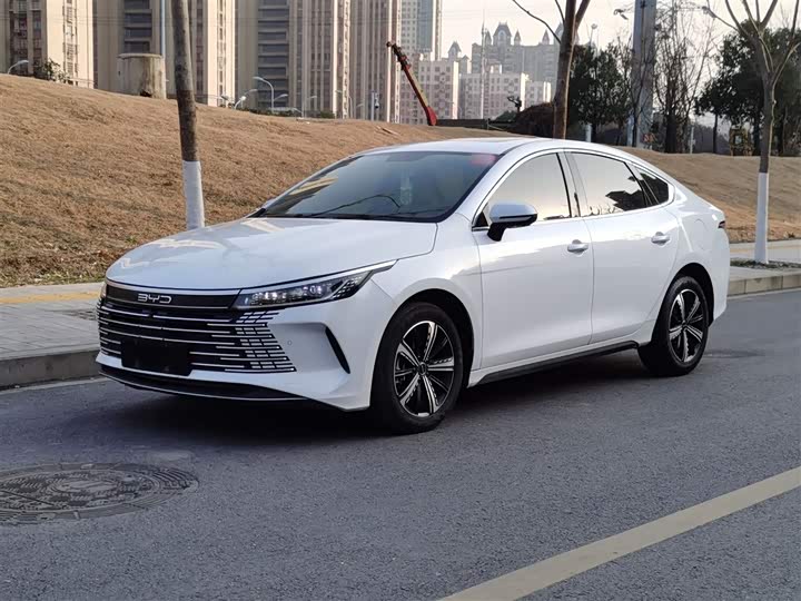 Фото 2 - BYD Destroyer 05