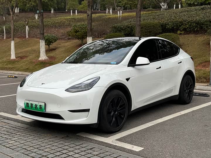Фото 1 - Tesla Model Y