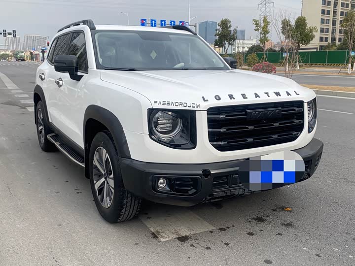 Фото 3 - Haval Dargo