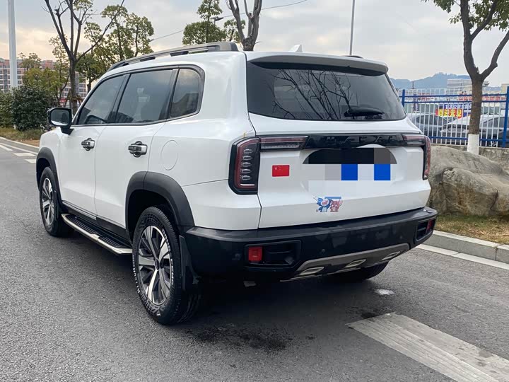 Фото 4 - Haval Dargo