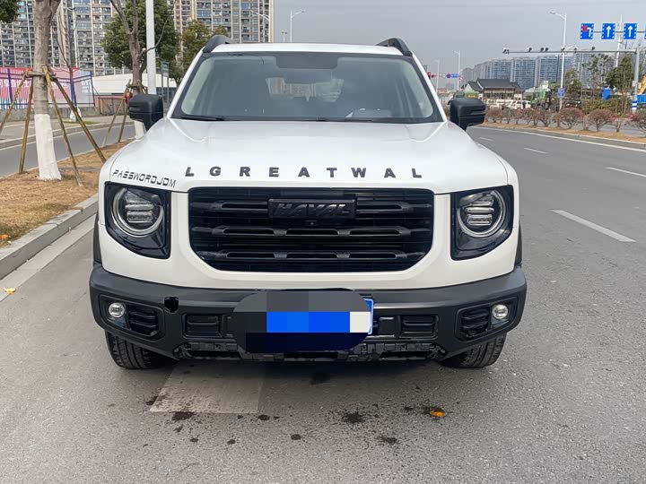 Фото 5 - Haval Dargo