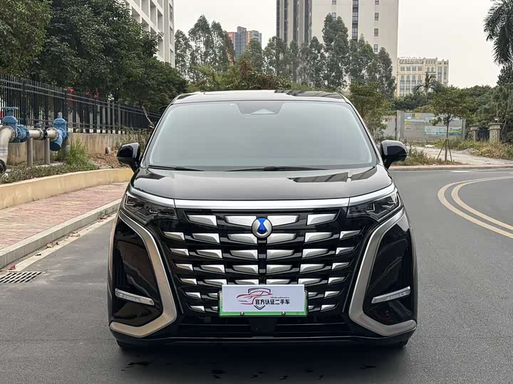 Фото 2 - Denza D9