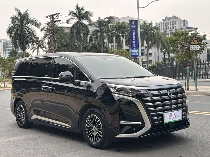 Фото 3 - Denza D9