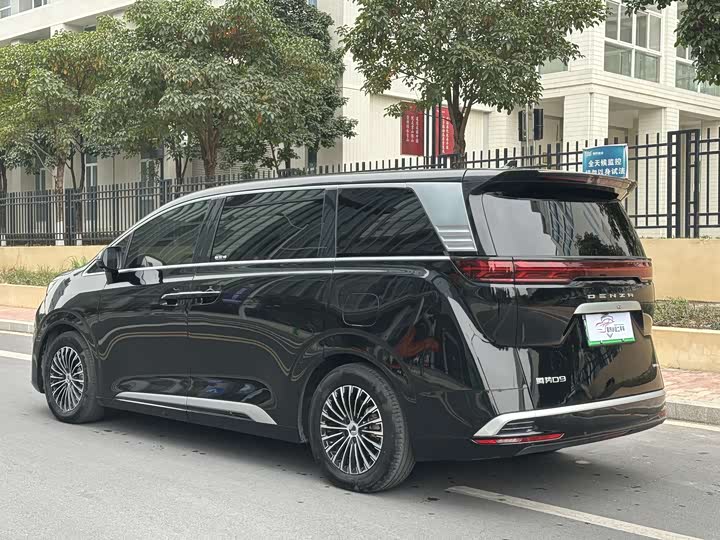 Фото 6 - Denza D9