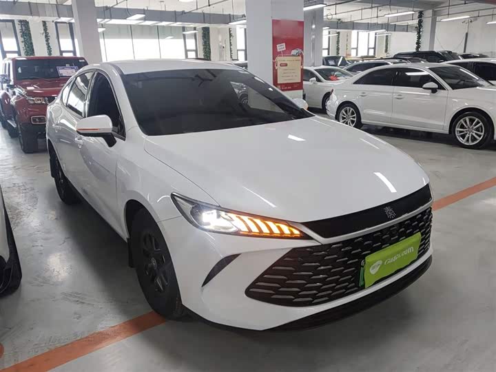Фото 4 - BYD Qin Plus