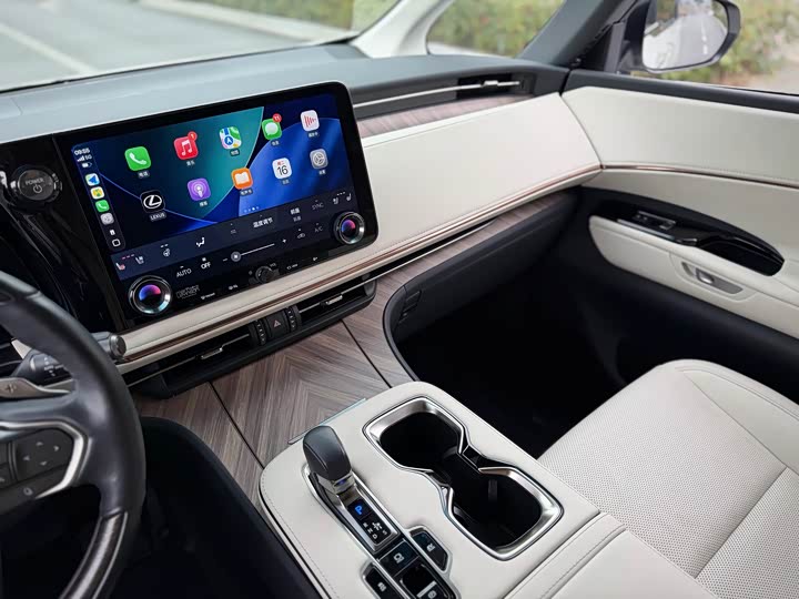 Фото 5 - Lexus LM