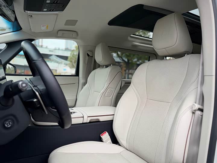 Фото 8 - Lexus LM