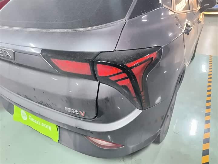 Фото 8 - Hozon V