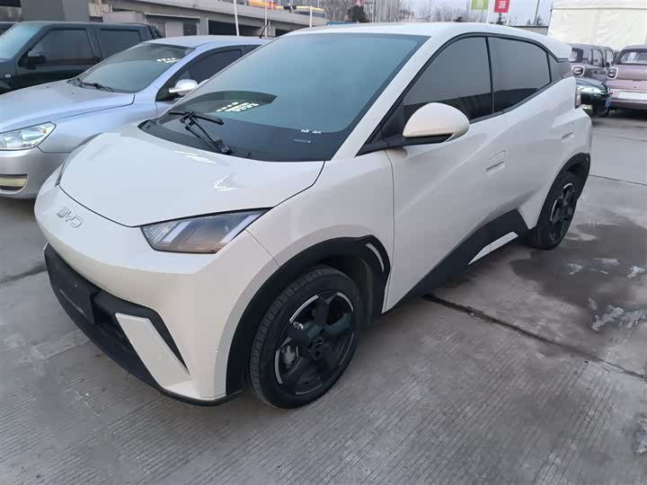 Фото 2 - BYD Seagull