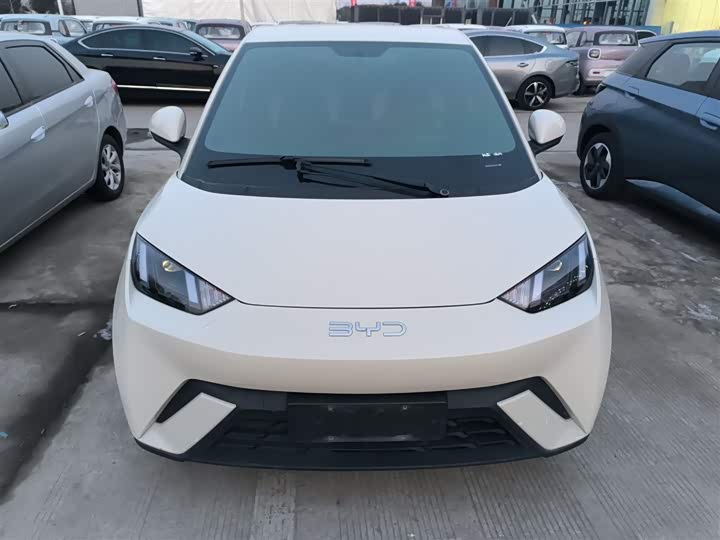 Фото 3 - BYD Seagull