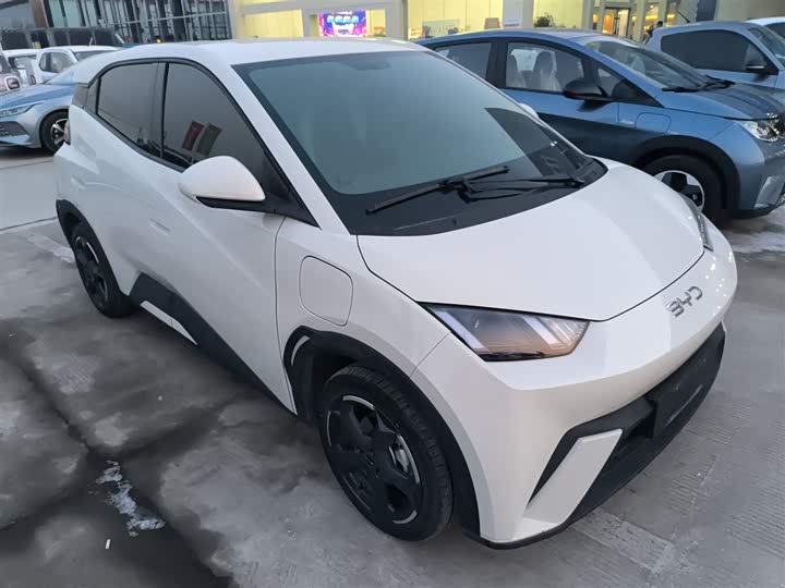 Фото 4 - BYD Seagull