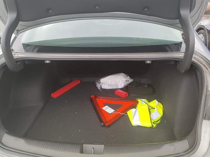 Фото 4 - Buick Regal