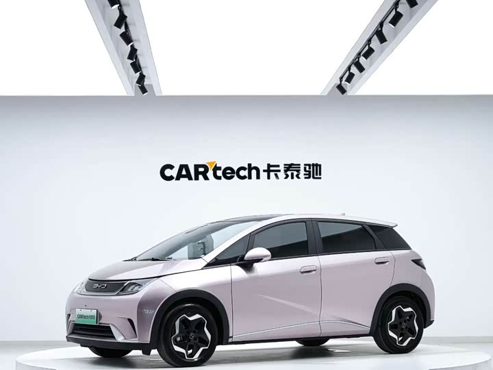 Фото 1 - BYD Dolphin