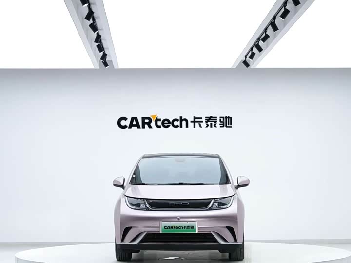 Фото 2 - BYD Dolphin