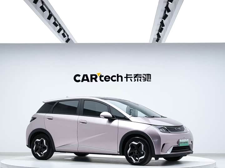 Фото 3 - BYD Dolphin