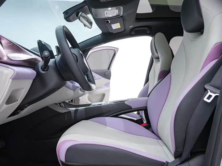 Фото 4 - BYD Dolphin