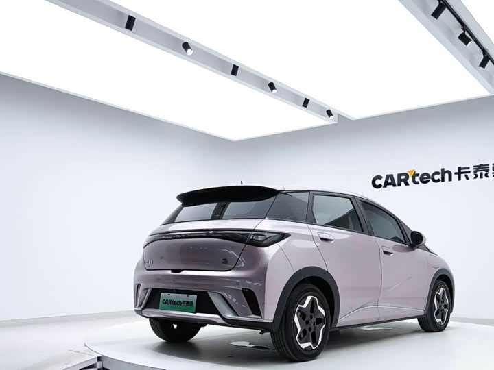 Фото 7 - BYD Dolphin