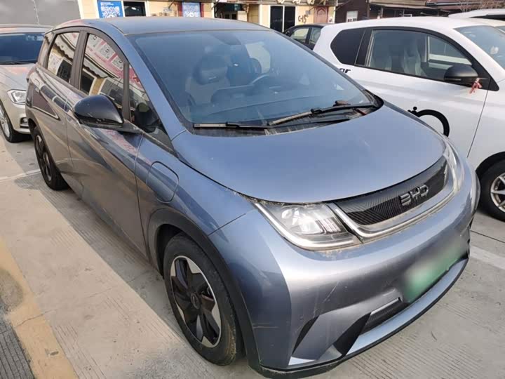 Фото 4 - BYD Dolphin