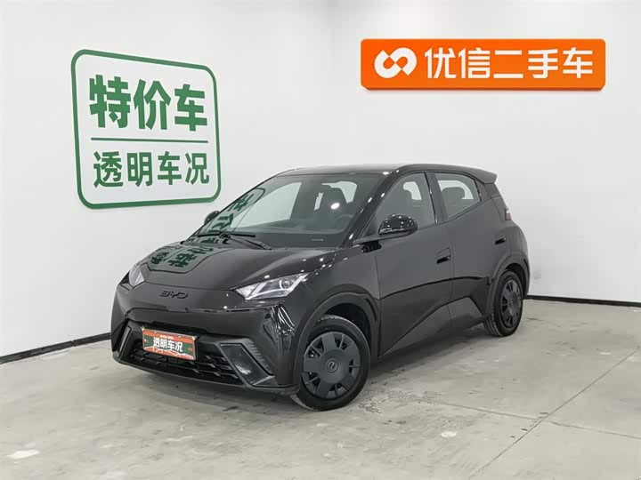 Фото 1 - BYD Seagull