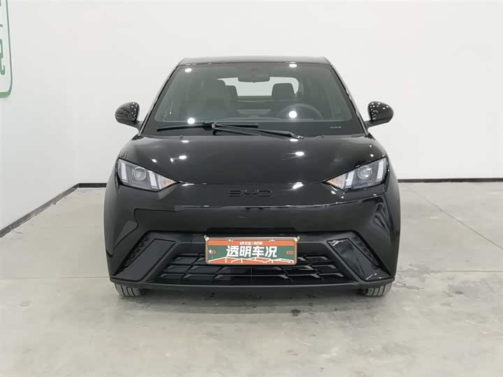 Фото 3 - BYD Seagull