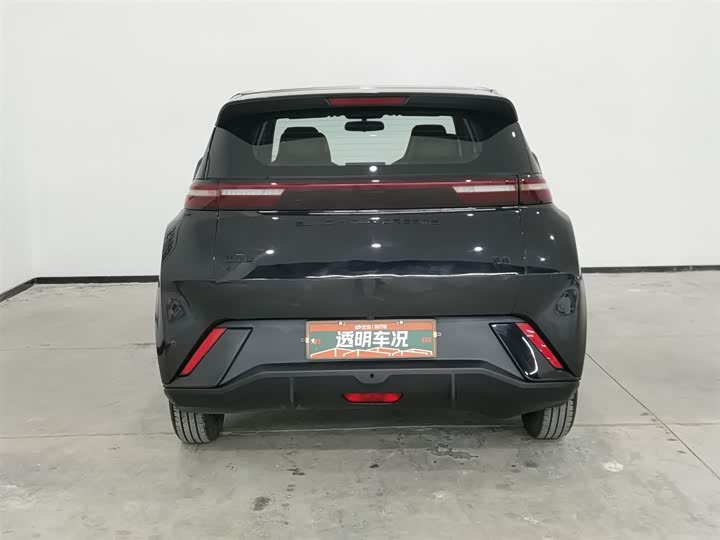 Фото 4 - BYD Seagull