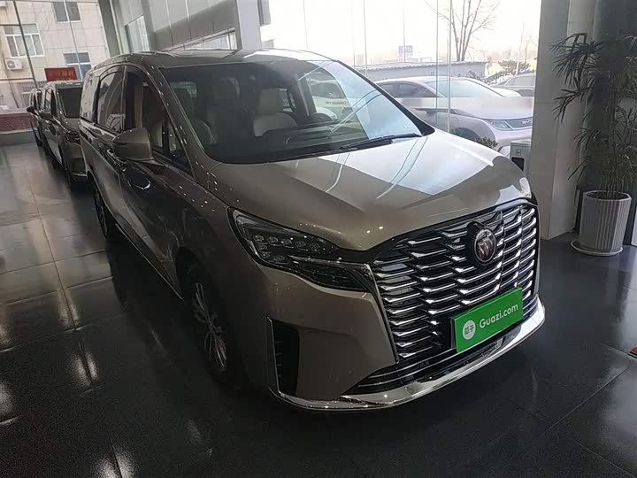 Фото 4 - Buick GL8 ES