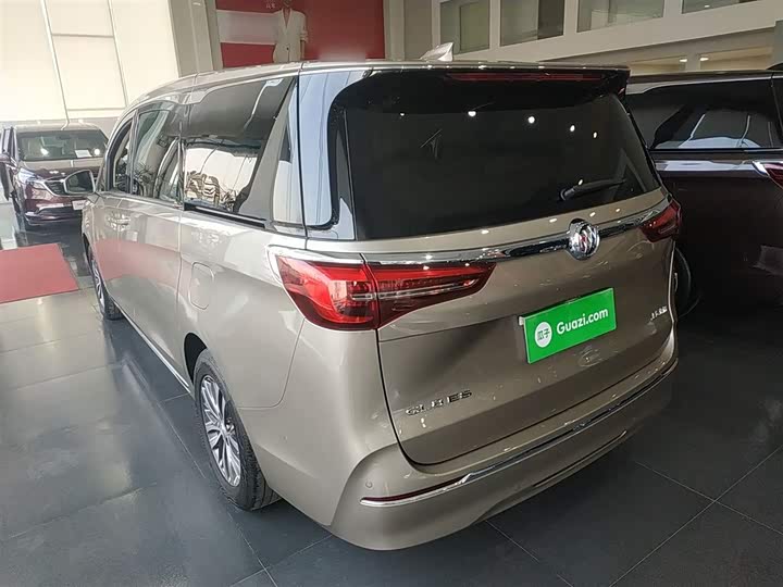 Фото 5 - Buick GL8 ES