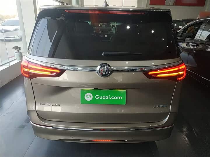 Фото 6 - Buick GL8 ES