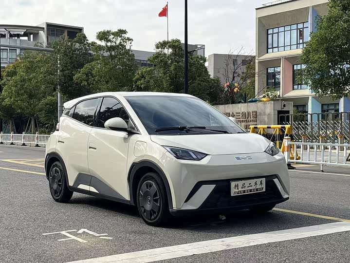 Фото 3 - BYD Seagull