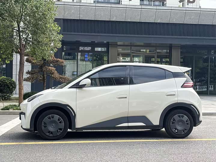 Фото 4 - BYD Seagull