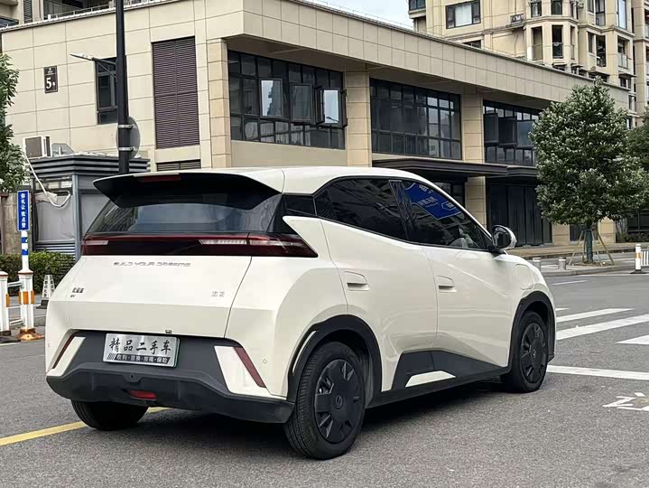 Фото 7 - BYD Seagull