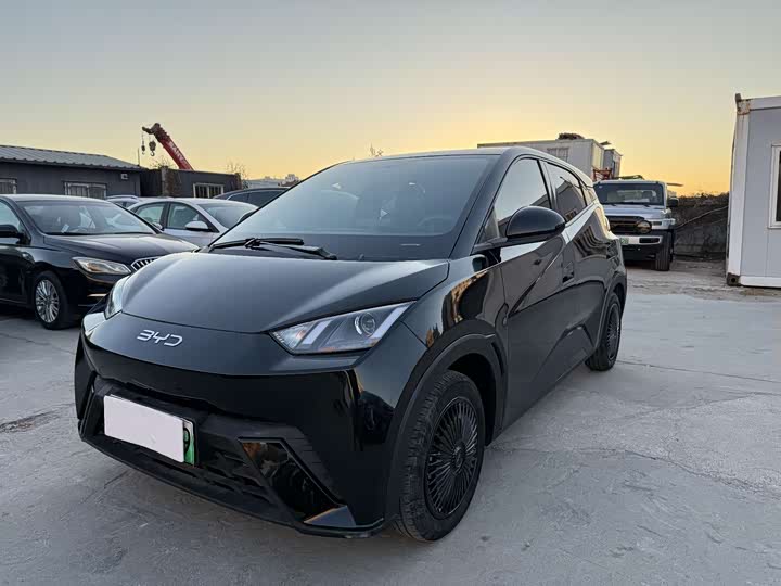 Фото 1 - BYD Seagull