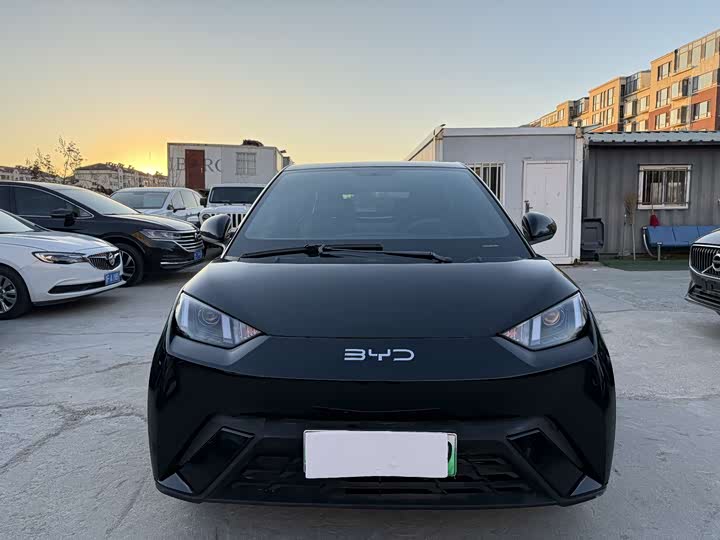 Фото 2 - BYD Seagull