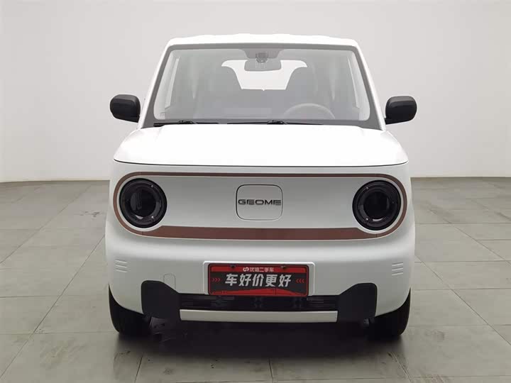Фото 3 - Geely Galaxy Panda Mini