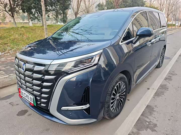 Фото 1 - Denza D9