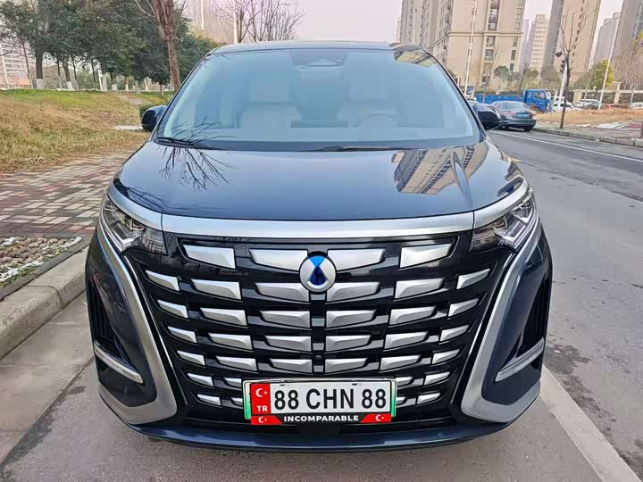 Фото 2 - Denza D9