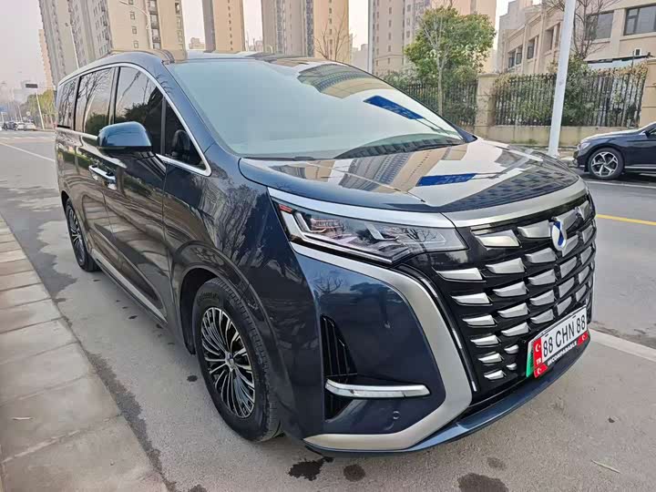 Фото 3 - Denza D9