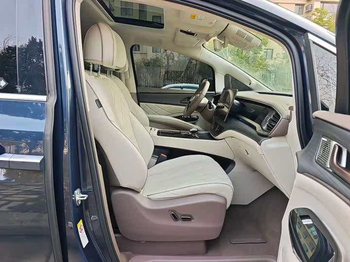 Фото 4 - Denza D9