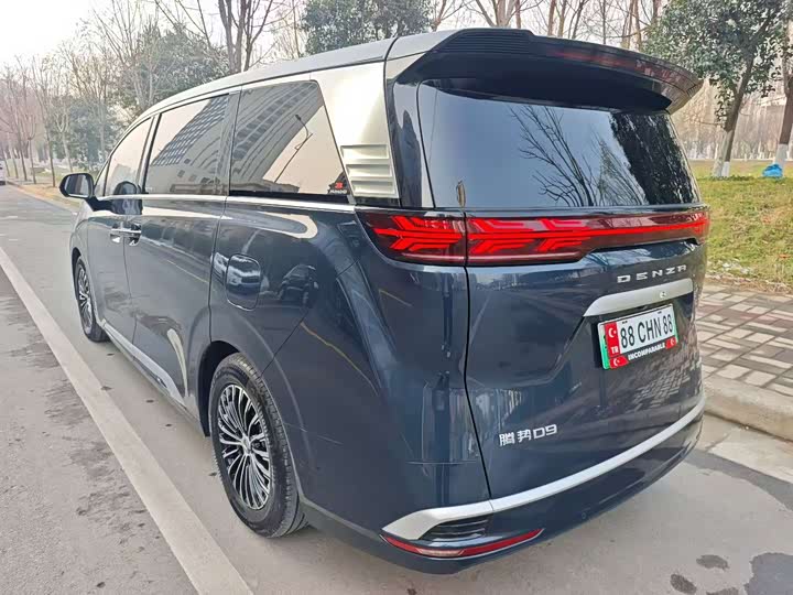 Фото 7 - Denza D9