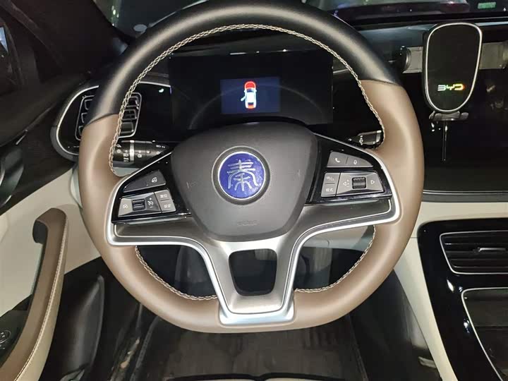 Фото 3 - BYD Qin Plus