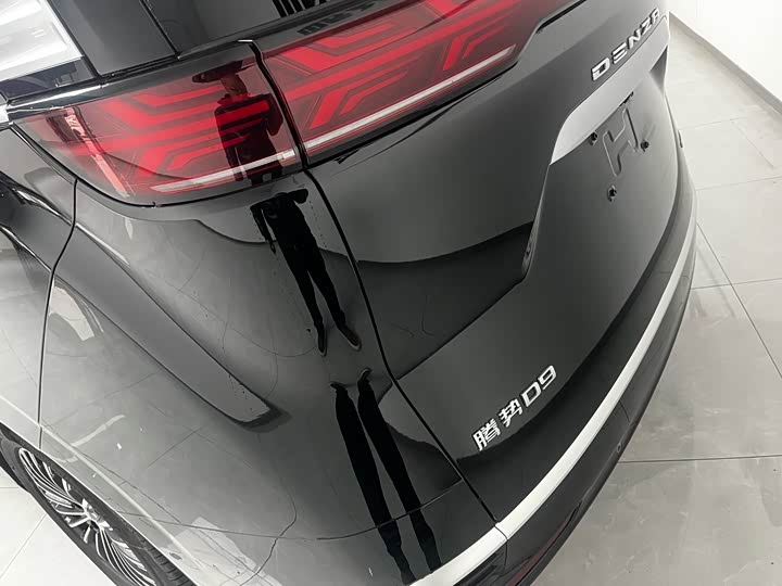 Фото 3 - Denza D9