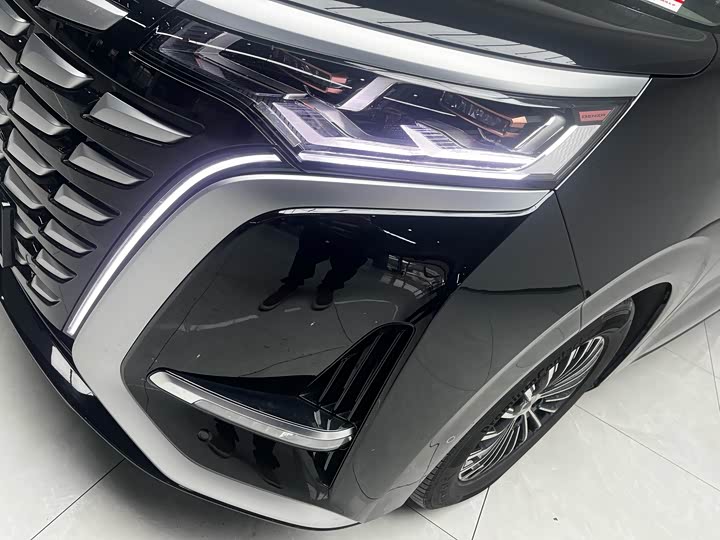 Фото 8 - Denza D9