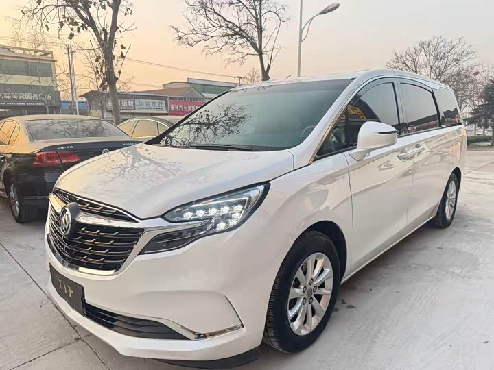 Фото 1 - Buick GL8 ES