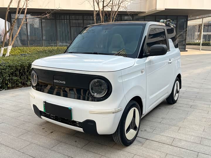 Фото 1 - Geely Galaxy Panda Mini