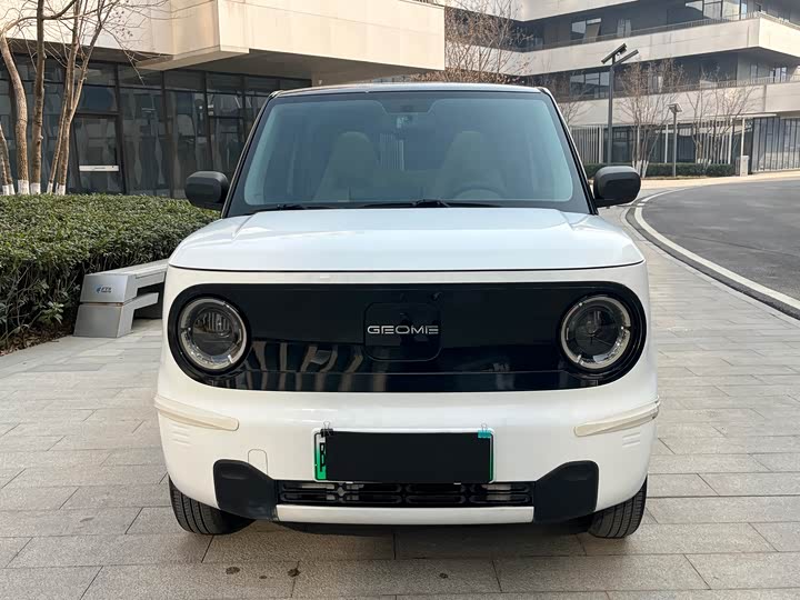 Фото 2 - Geely Galaxy Panda Mini