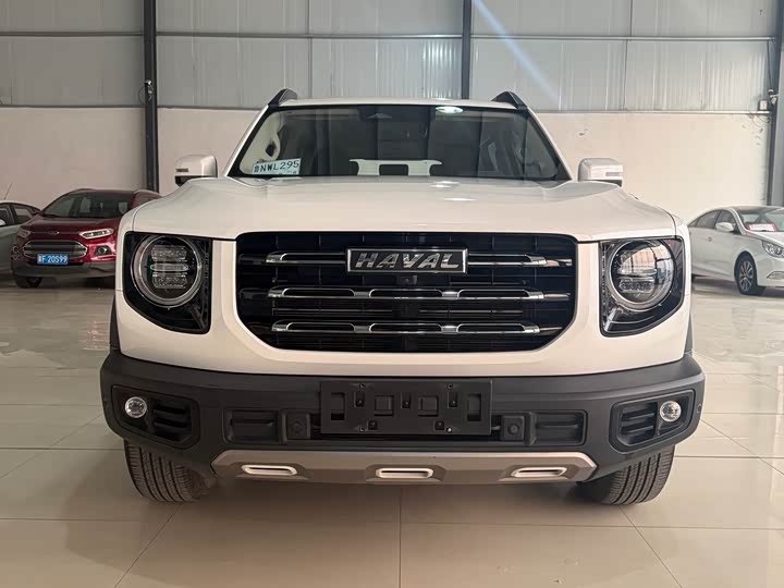 Фото 2 - Haval Dargo